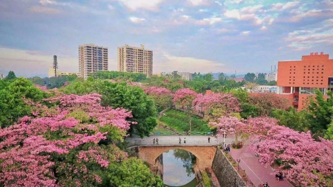 民办本科学费是固定的吧_民办本科学费一年大概多少_学费民办本科贵吗