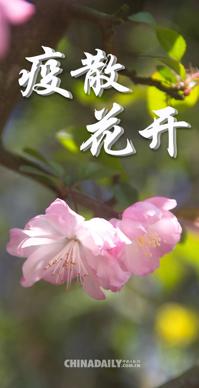 守沪有光上海战疫十二时辰