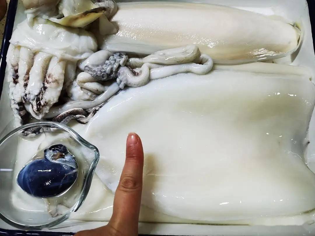 墨鱼的墨汁是什么成分真可以吃吗很多人不清楚涨知识了