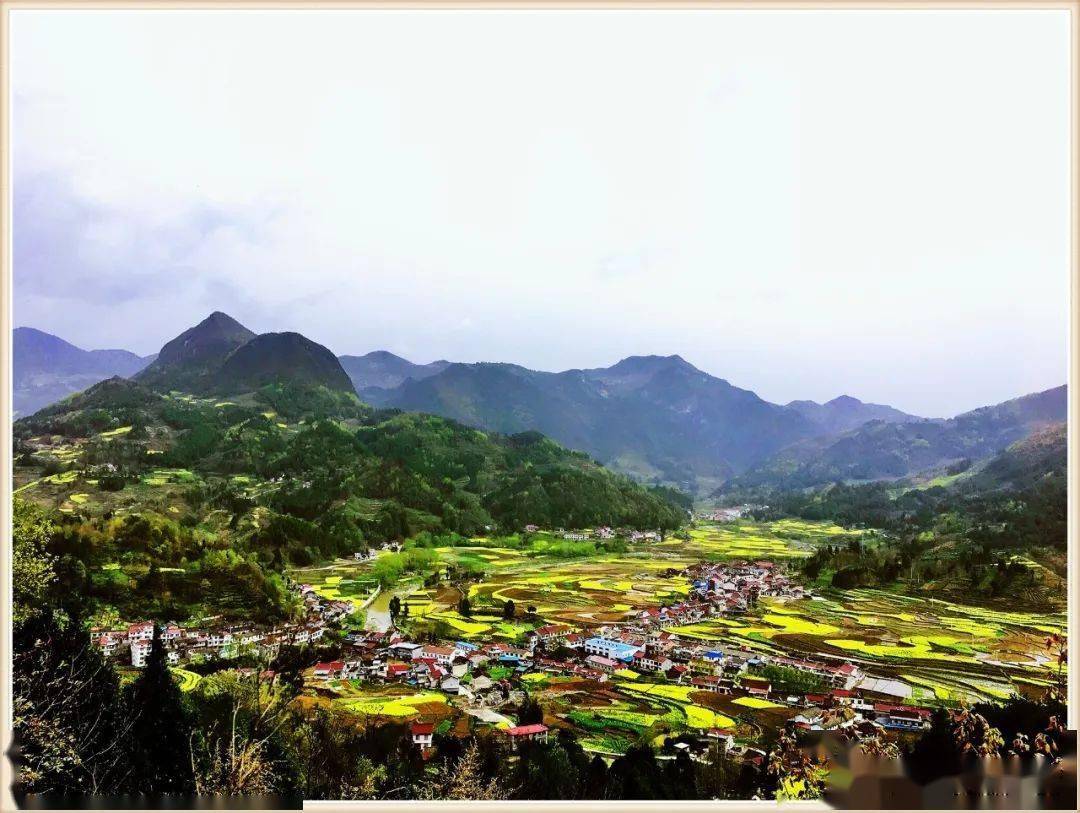 花开正好汉中高川镇春意正盎然