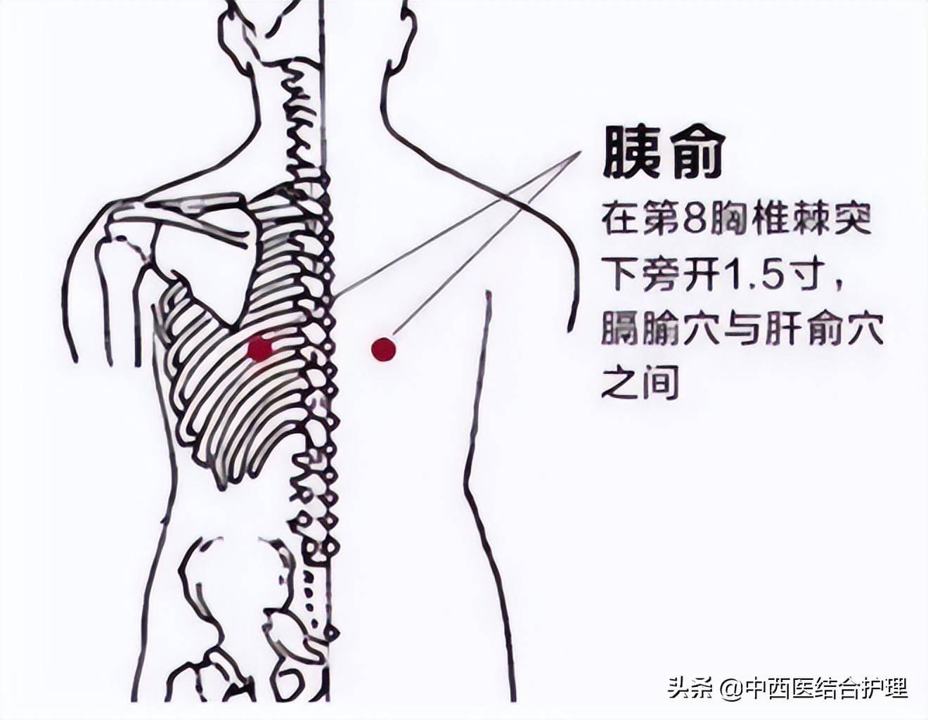 穴位养生这个穴位是糖尿病的克星