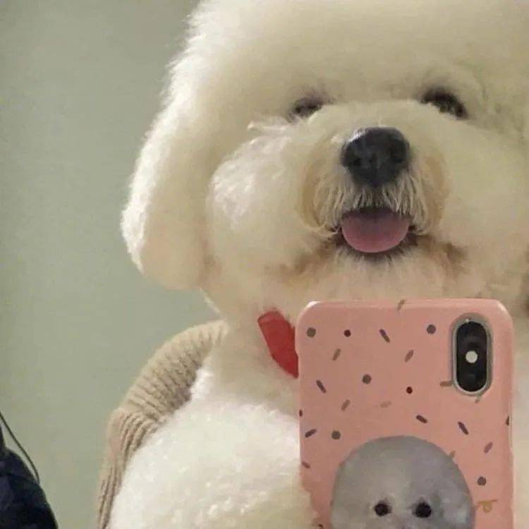 头像真实好看的微信头像