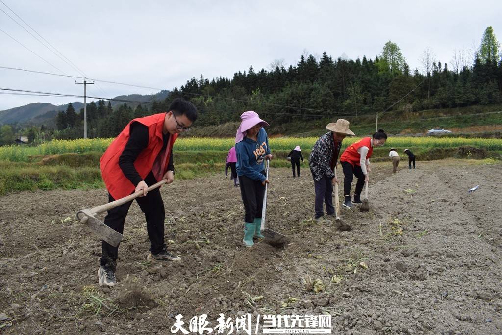 科技|剑河南明：“田间科技课堂”保粮安 现代化农业促增收