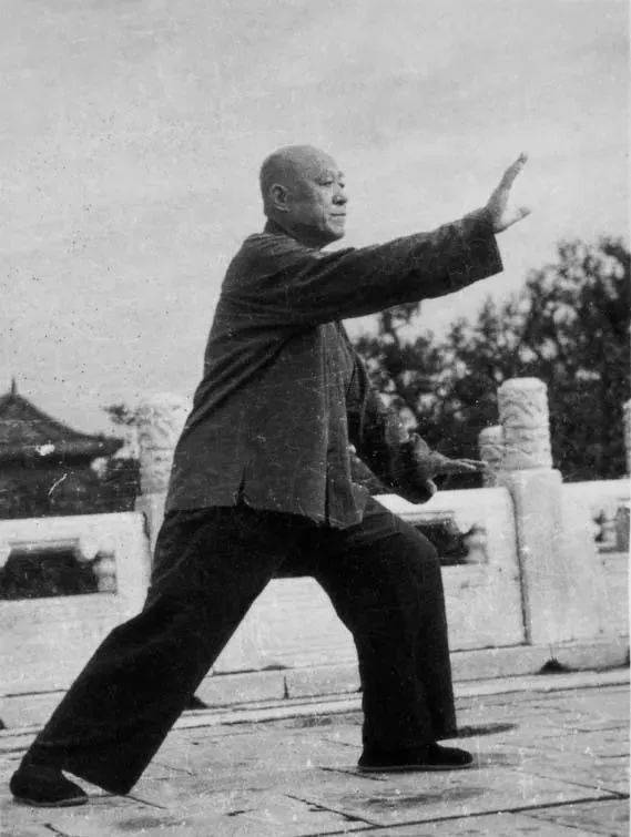 汪永泉谈太极拳技击与养生