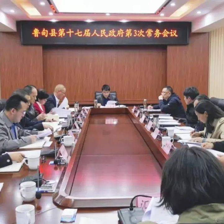 杨绪春主持召开第十七届人民政府第3次常务会议_鲁甸县_投资_项目