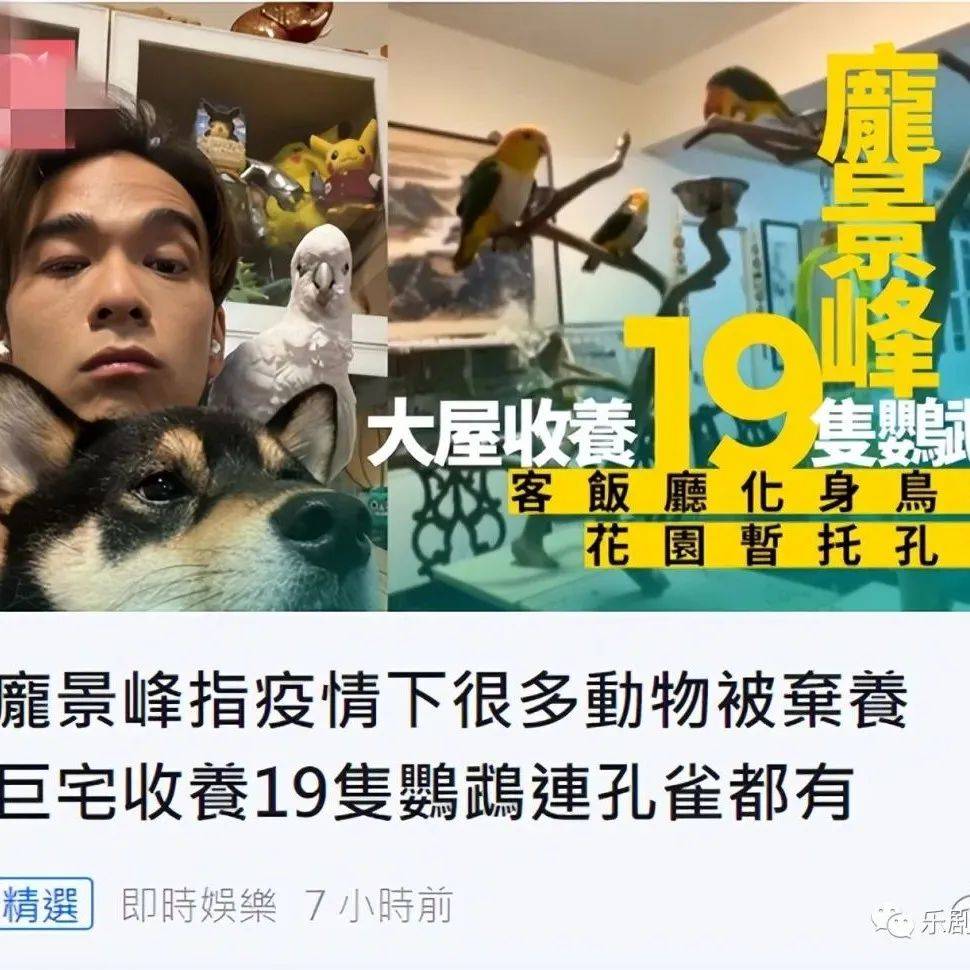 满屋鹦鹉蜥蜴像动物园!钱小豪儿子庞景峰公开豪宅内景,孔雀成焦点引热议_郭秀云_庞景峰_钱小豪