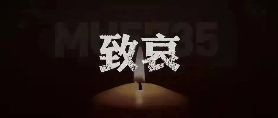 致哀！痛悼东航客机坠毁事故遇难同胞！_东航坠机乘客未婚夫发声_东航：机组失联前没挂出紧急代码_东航乘客亲属发怀念视频遭网友攻击