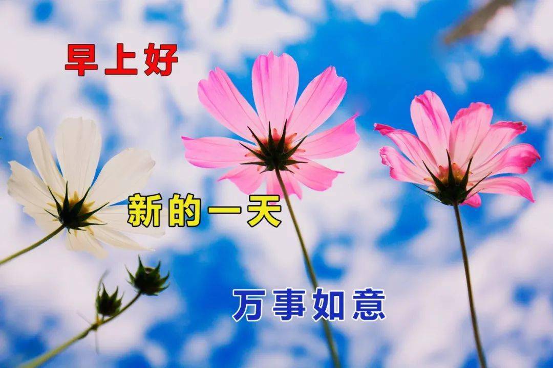 今天最新早上好问候语图片