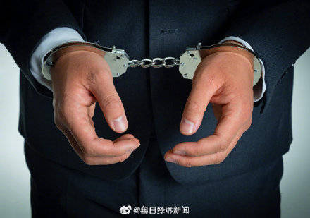 男子花388元购买鹦鹉盲盒获刑