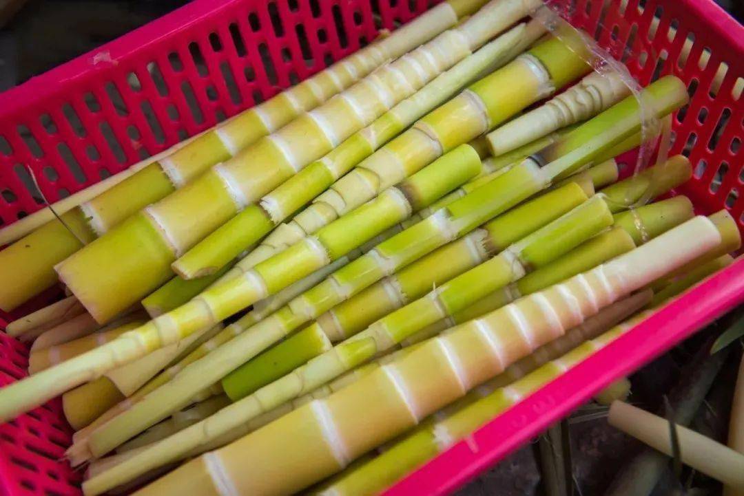 自讨"苦"吃的客家人苦笋甘中带苦,苦中带甜的味道,客家人最懂得欣赏