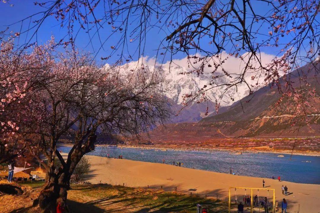 春天的川藏线,梨花洁白胜雪,桃花灿若云霞!_林芝_金川_雪山