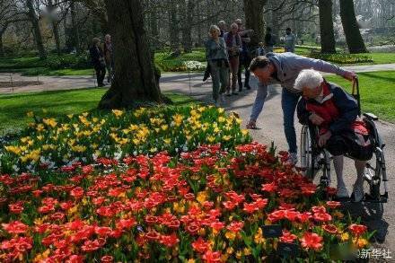 荷兰库肯霍夫公园面向公众全面开放