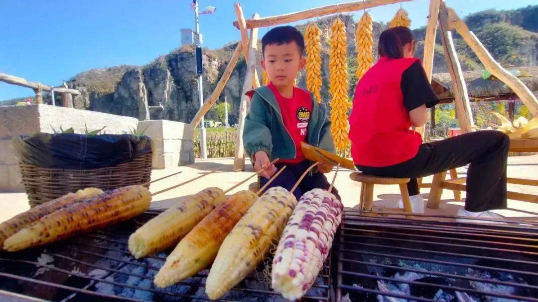 戀鄉生態農場 玉米冒險村