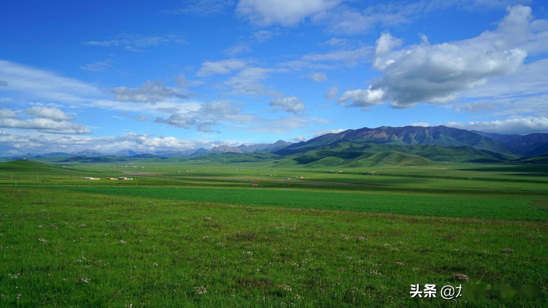 格格锡林郭勒大草原图片