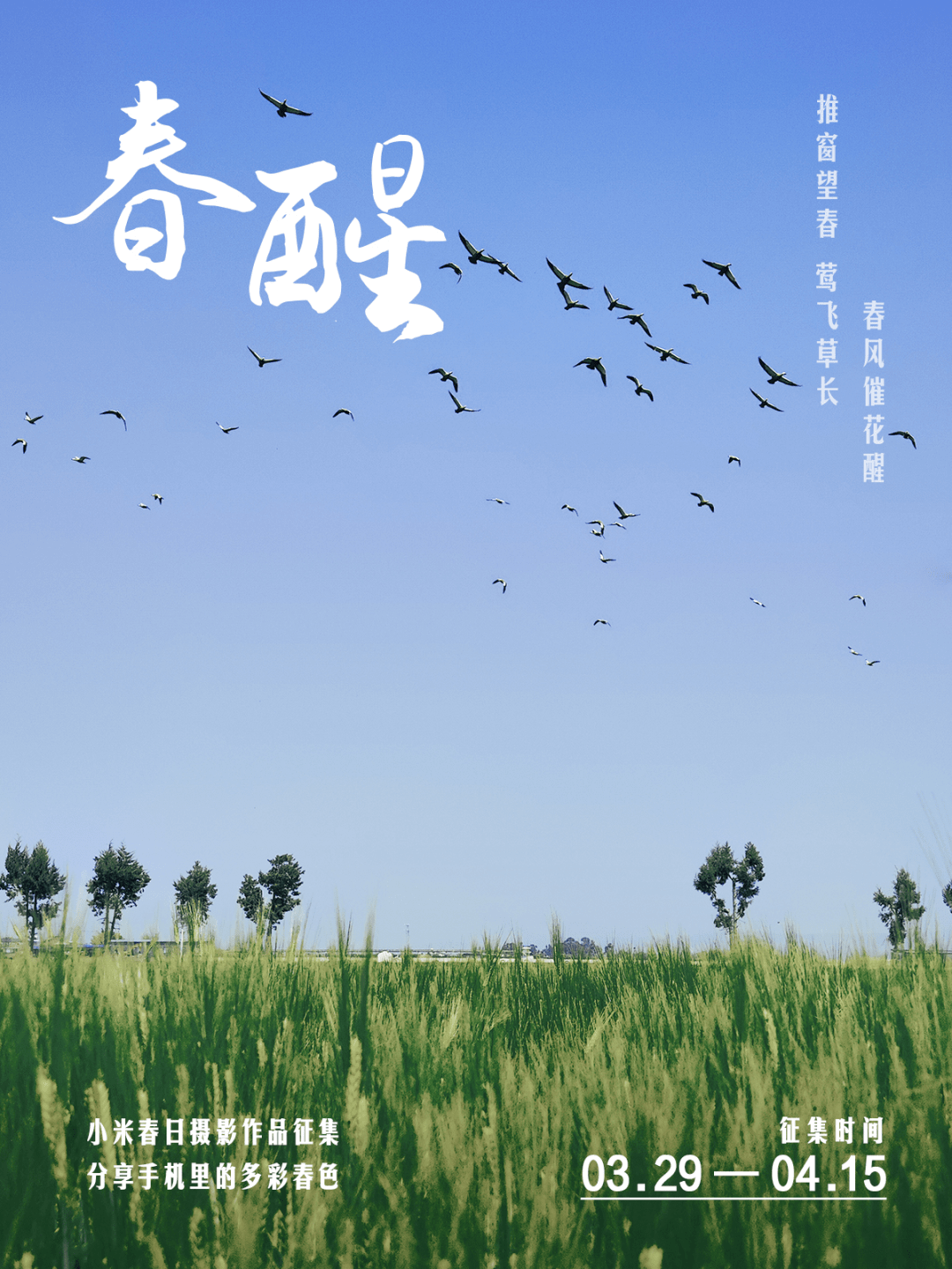 油菜花|醒醒！