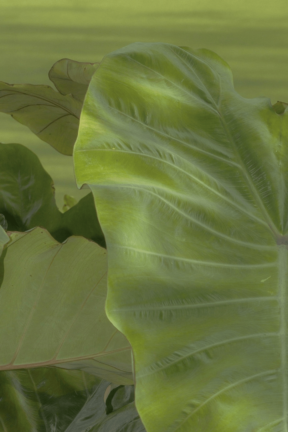 湖畔_摄影_作品_cnu