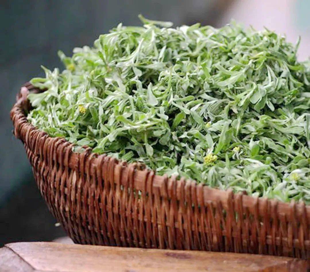 逛吃之旅清明不远行艾粿不缺席