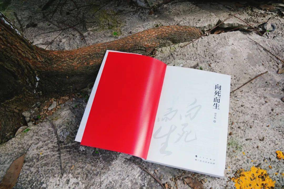 访谈曾平标让历史与现实相辉映