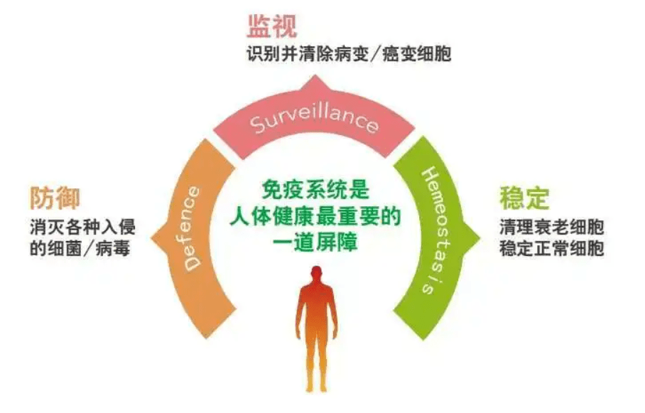 【科普】如何增强免疫力?_机体_功能_身体