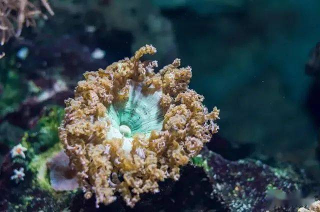 全世界不能错过的水族馆柏林水族馆