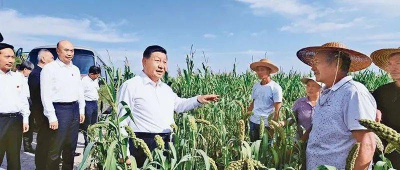 习近平:举全党全社会之力推动乡村振兴_农村_农业_工作