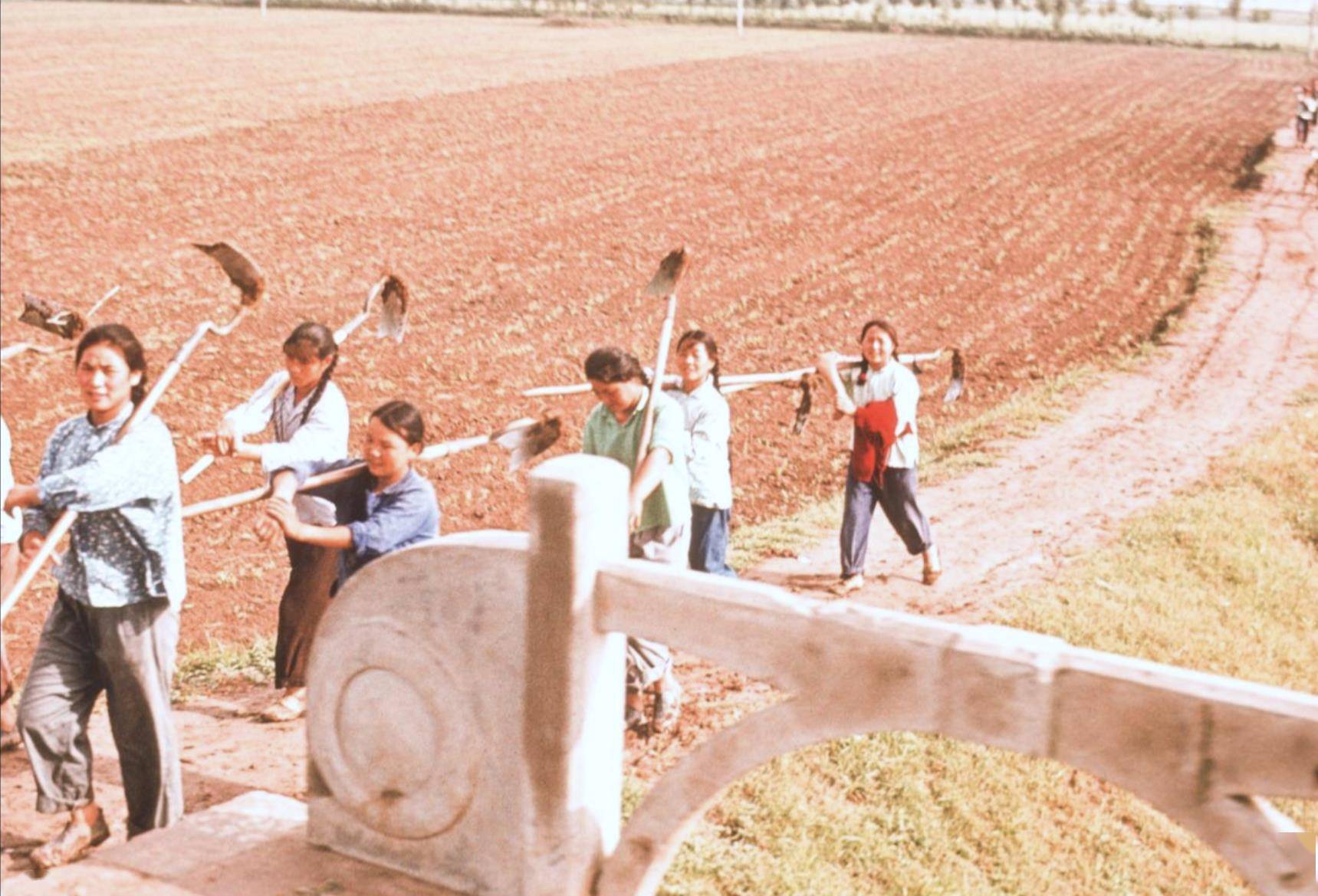 70年代农民劳动的图片图片