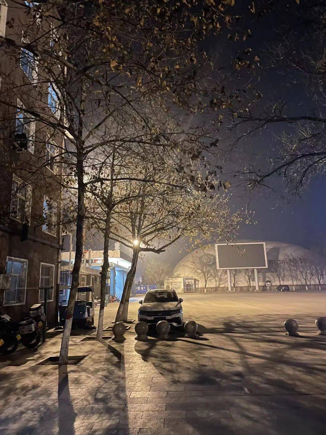 星星眨着眼睛放起了哨——夜晚下的校园,静谧且美好