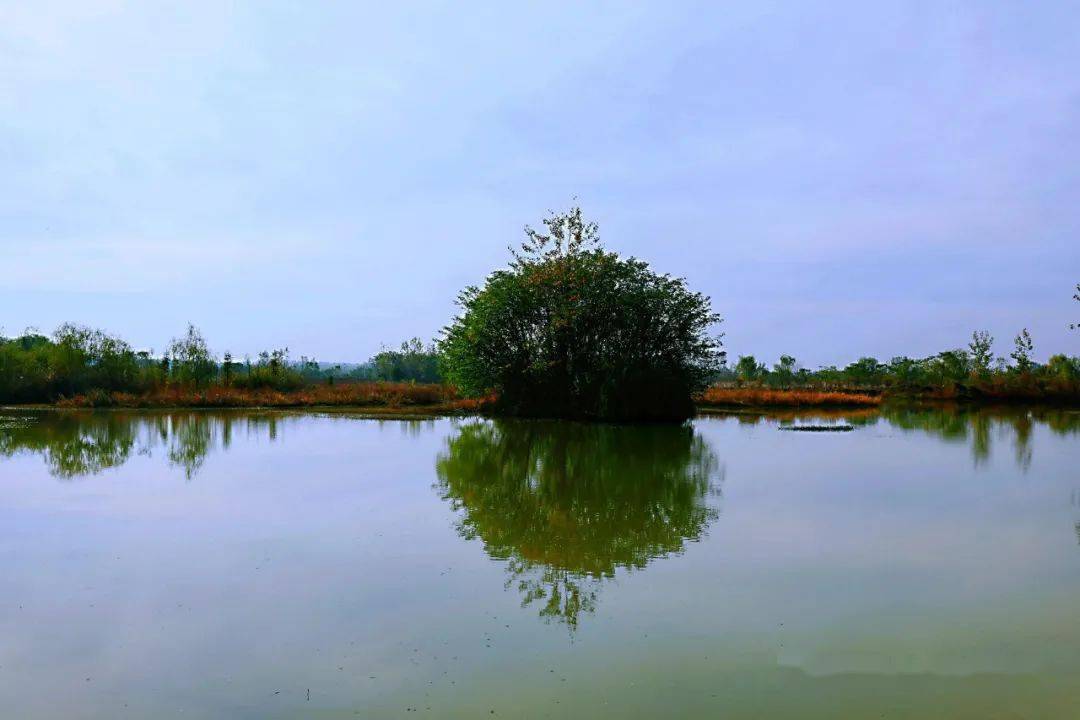 美得不像话无滤镜未美颜的素面朱湖