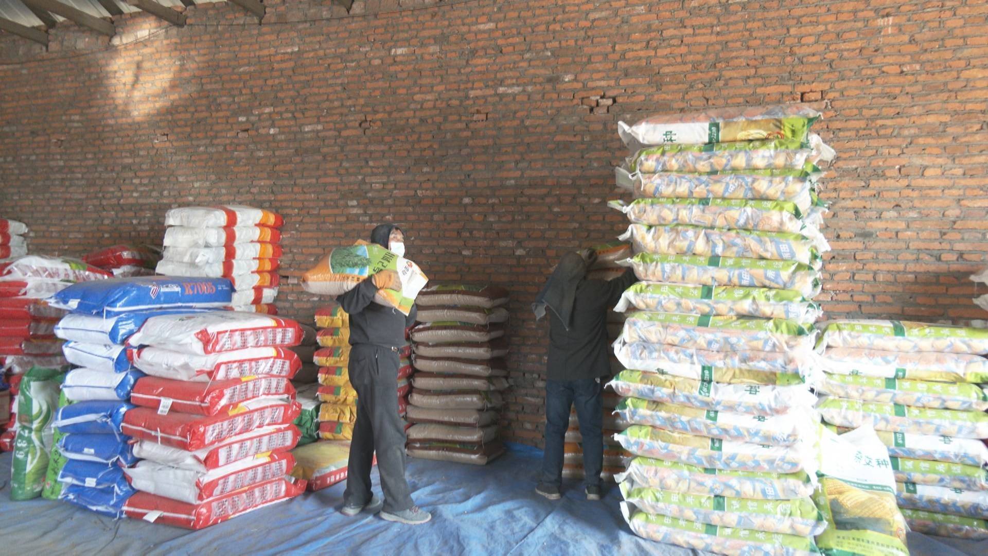 化肥等农资整齐的摆放在墙边,而仓库的另一头,工人们也正忙着搬运玉米