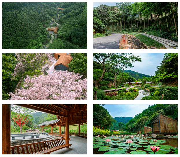 免门票抽大奖尽在广西高峰森林公园