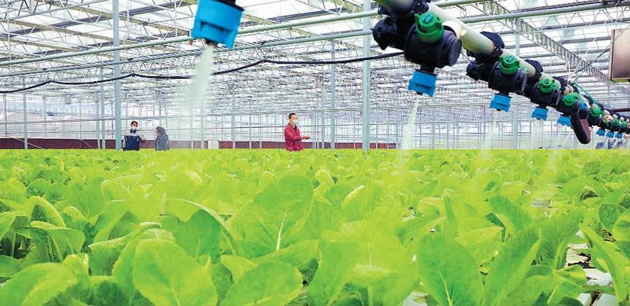 智慧农业增产增收组图