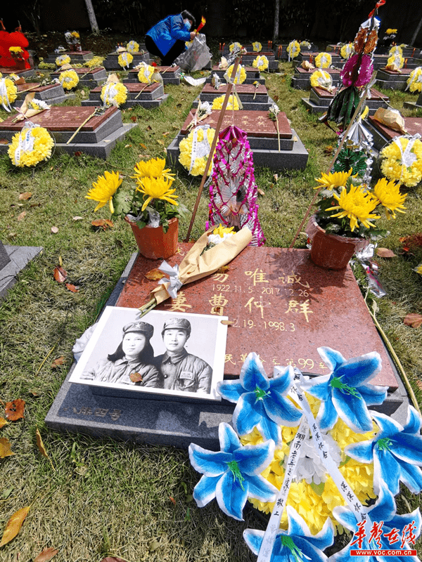 据了解,唐人万寿园抗战主题园是由民革长沙市委员会与湖南唐人万寿园