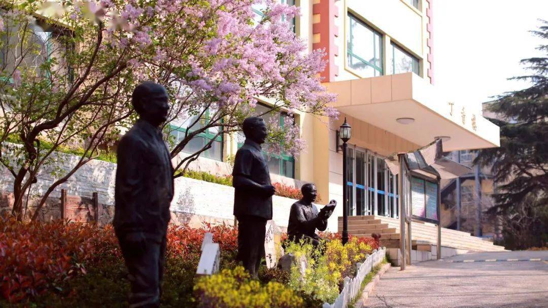 初小衔接青岛三十七中小升初学法指导数学学习篇