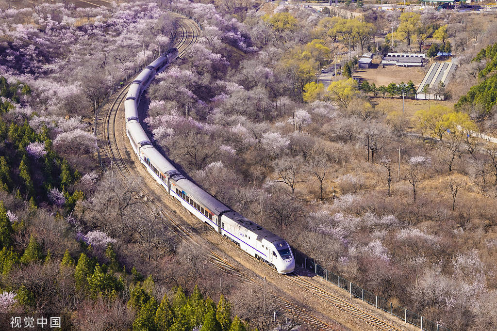 北京s2線長城號列車穿越花海