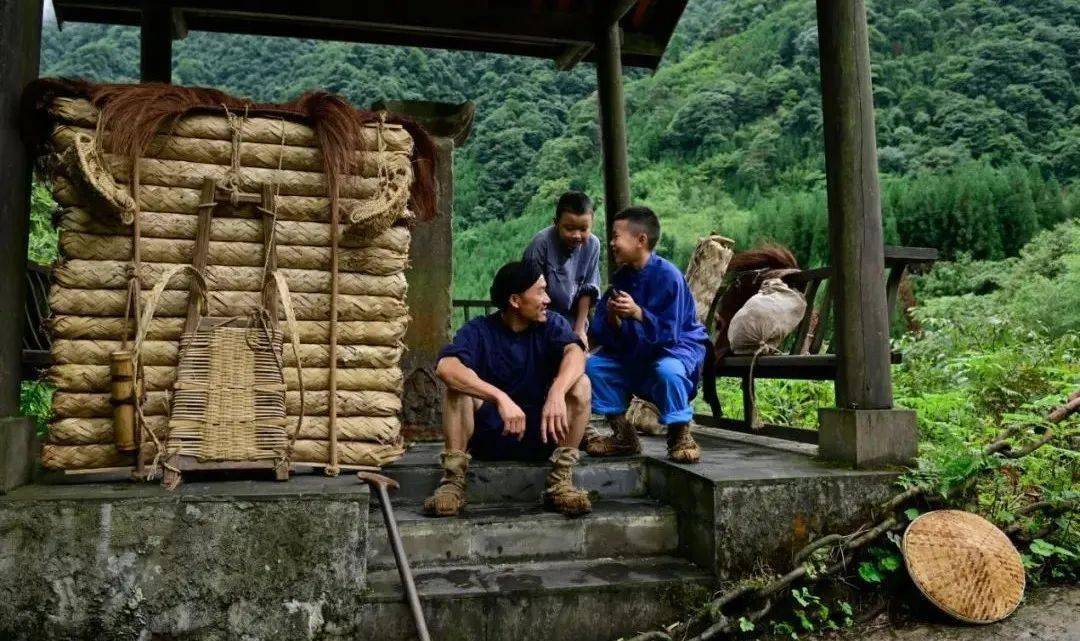 藏茶文化雅安藏茶的茶背子