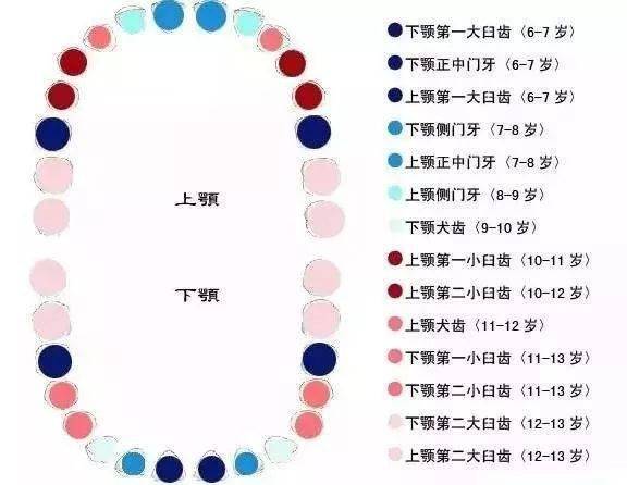 牙齒_家長_牙刷