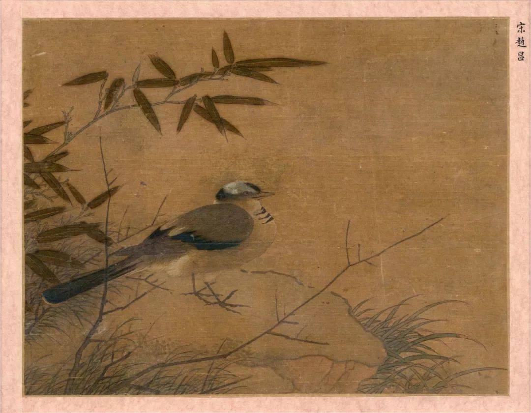 欣赏|北宋画家赵昌工笔花鸟画47图形态逼真敷色鲜艳（4）