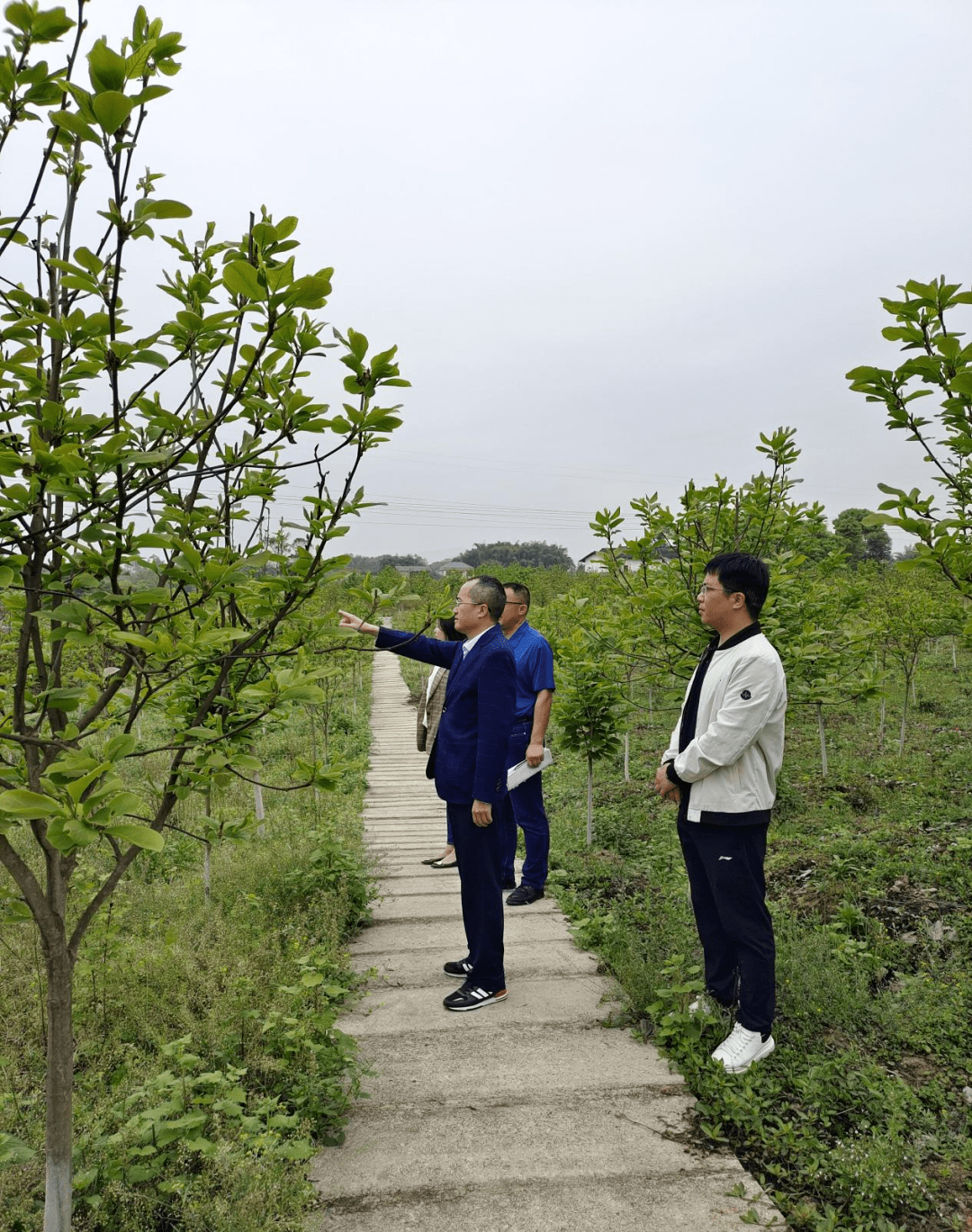 3月29日,正兴镇党委书记罗东来到河堰村,大面坡村等地实地调研乡村