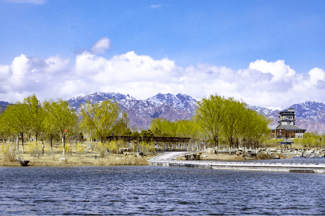 我们的节日清明丨金昌最美四月天云看春花烂漫碧水蓝天