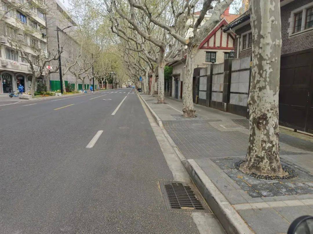 长宁街景宁静的马路忙碌的他们