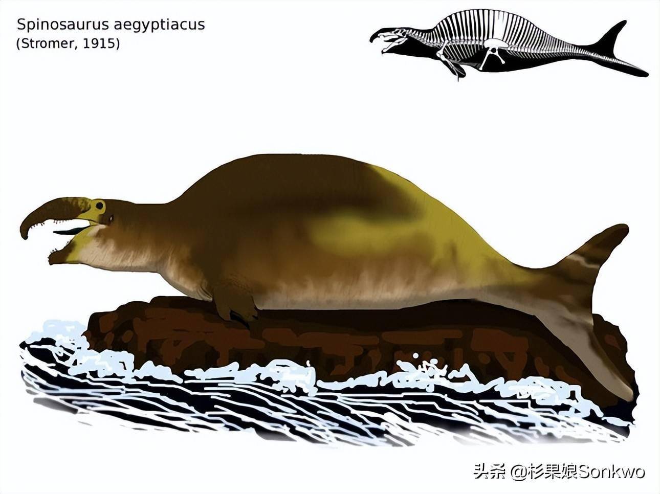 在《侏罗纪世界:进化2》里再现棘龙,但是象鼻渔夫_mod_恐龙_化石