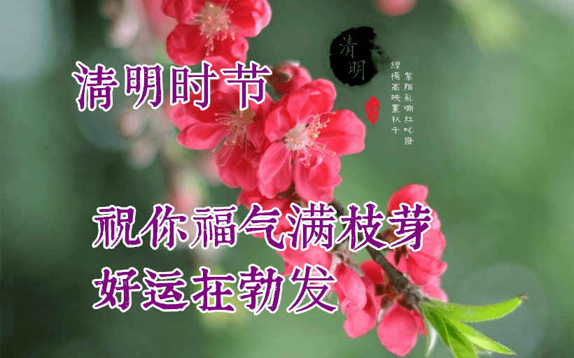 4月5日清明节早上好动态表情图片大全清明早上好问候语句子