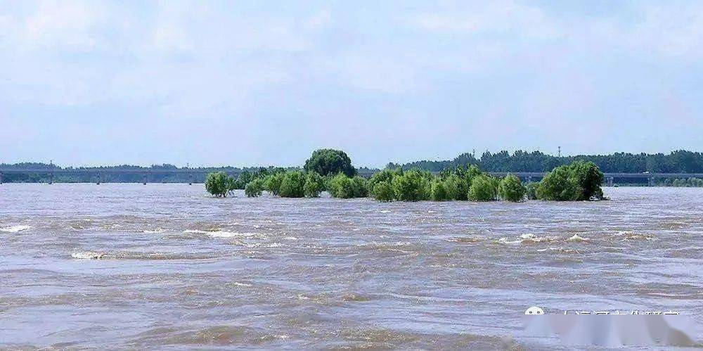 运河记忆李修运黄墩湖底片洼地土著人的印象