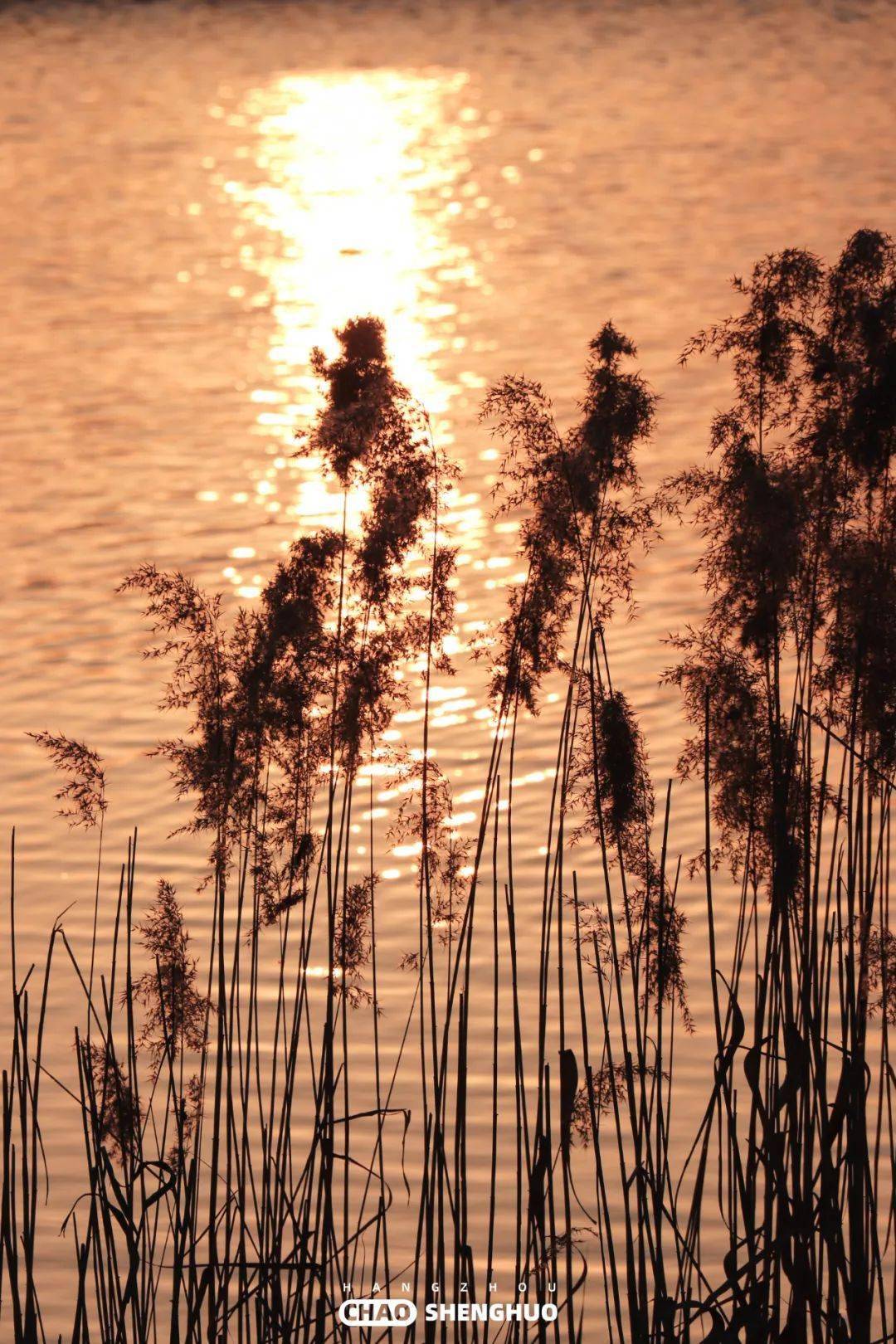 人少景美,氛围感满分!_东湖公园_建筑_生活