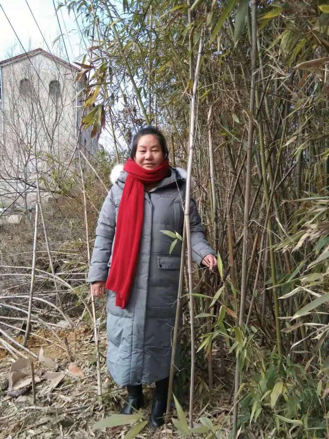 赵守菊│折枝柳条寄哀思
