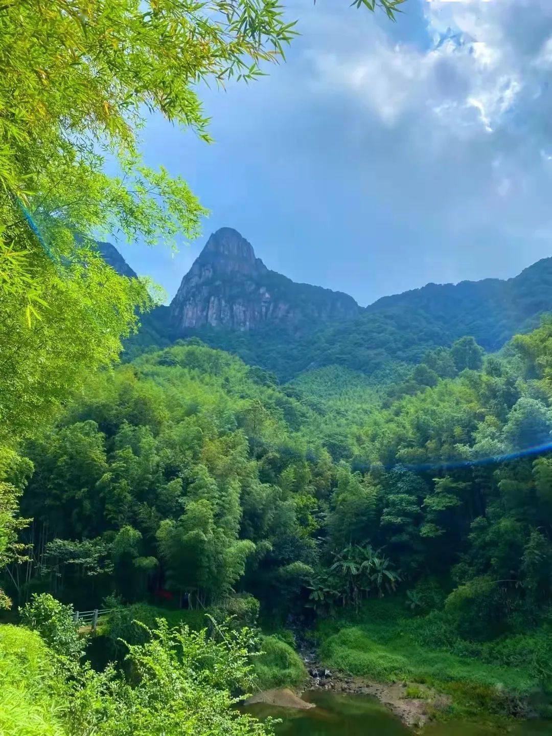 特价79元从化鸡枕山一鸣惊人登广州第二高峰10号出发