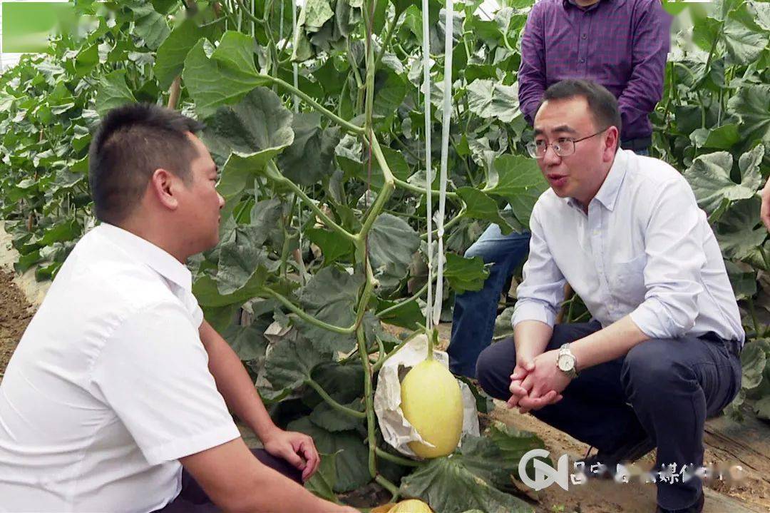 杨斌斌在湾甸乡调研时强调坚持以人民为中心多做利民惠民实事