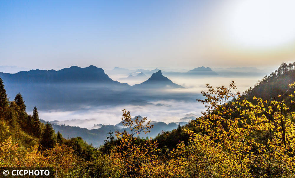 重慶南川春和景明晨霧如畫