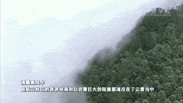 重庆丰都：慈姑山林区出现云雾美景