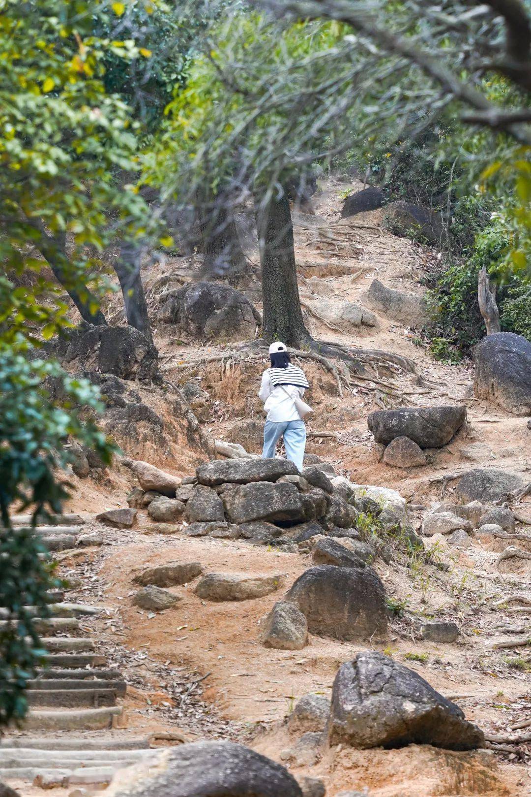 深圳超小眾的原始登山道,太有趣了_步道_梅林_路線